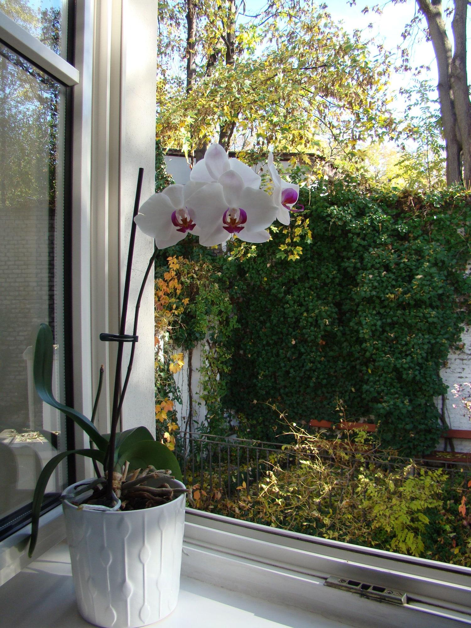 Boutique Hotel 16 Praga Exterior foto